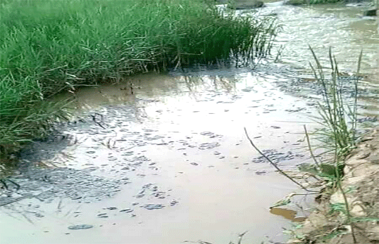 水中油類污染